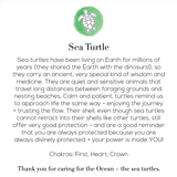 The Calm + Protected Turtle Bracelet