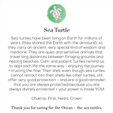 The Calm Turtle Bracelet