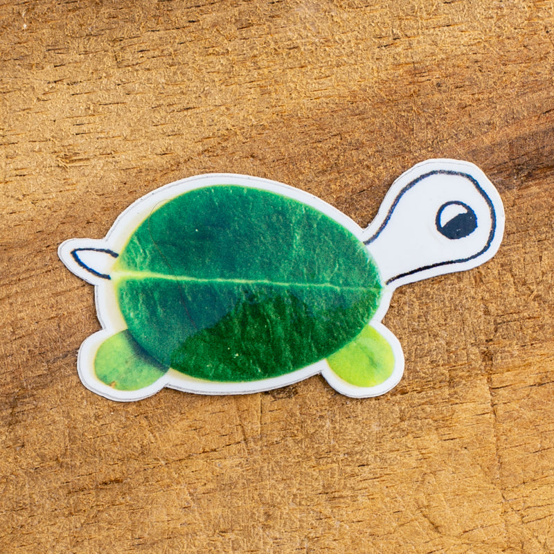 TURTLE STICKER  🐢