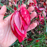 YOU ARE MAGICAL STICKER